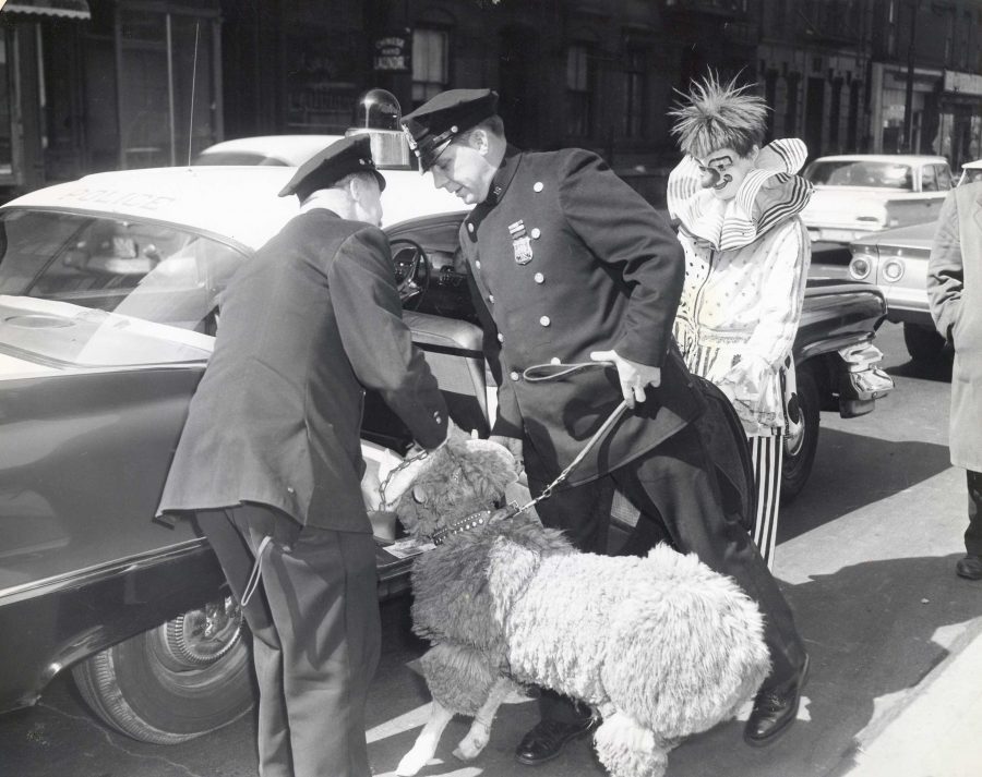 Fordham’s ram is retrieved from the Madison Square Garden Circus, where it was dyed green and chained to a fence. (Courtesy of Edward Hannan) 