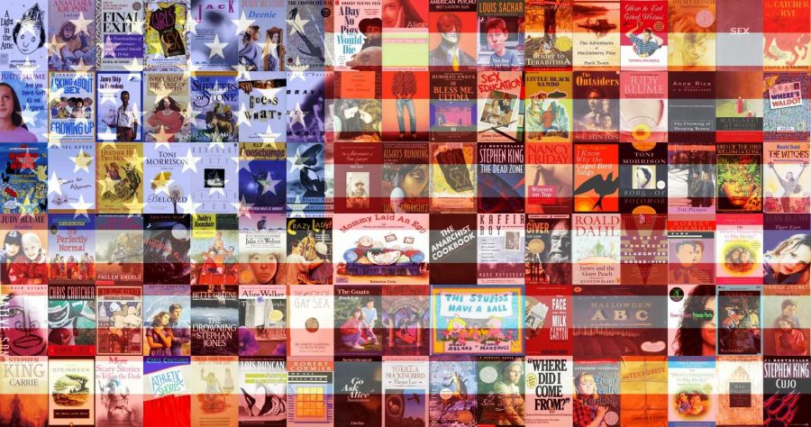 A number of books, including many classics, have been challenged or banned by schools and libraries around the U.S. Courtesy of Flickr