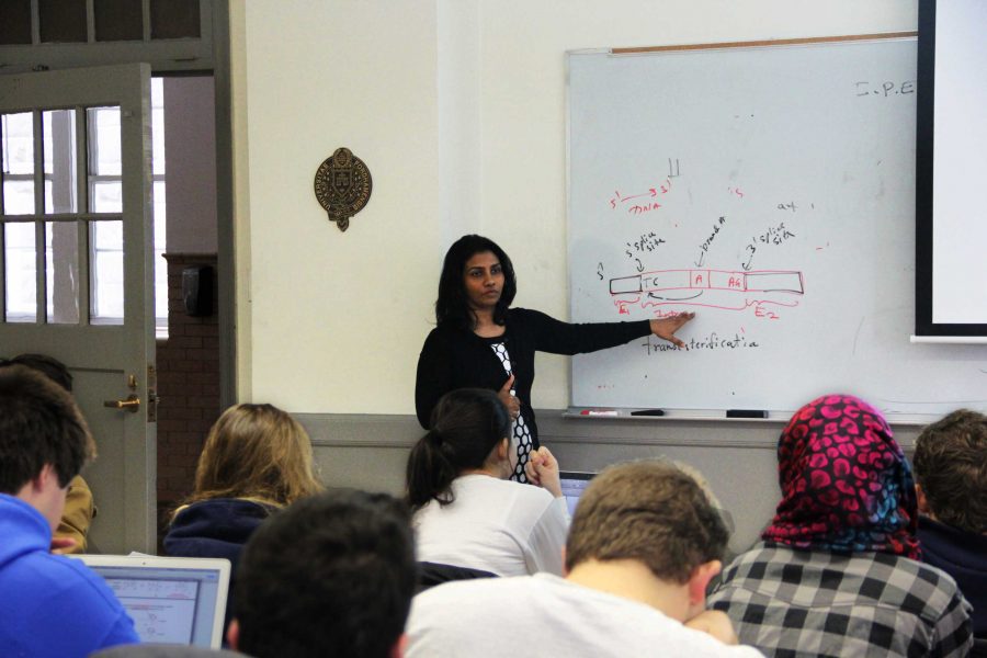 College classes are more effective when professors have more control in the classroom. Casey Chun/The Fordham Ram