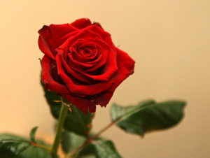 'The Bachelor' Brings Emotional Drama (Laughs too)