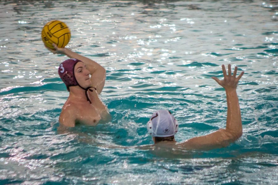 Fordham water polo is currently 4-4. Sam Joseph/The Fordham Ram