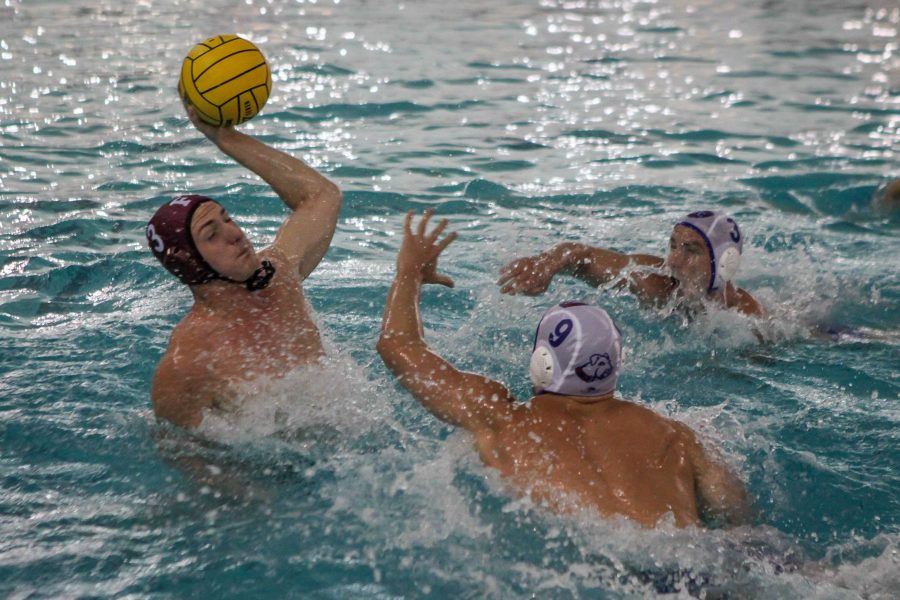 The Fordham Water Polo Team is now 10-8. Sam Joseph/ The Fordham Ram. 