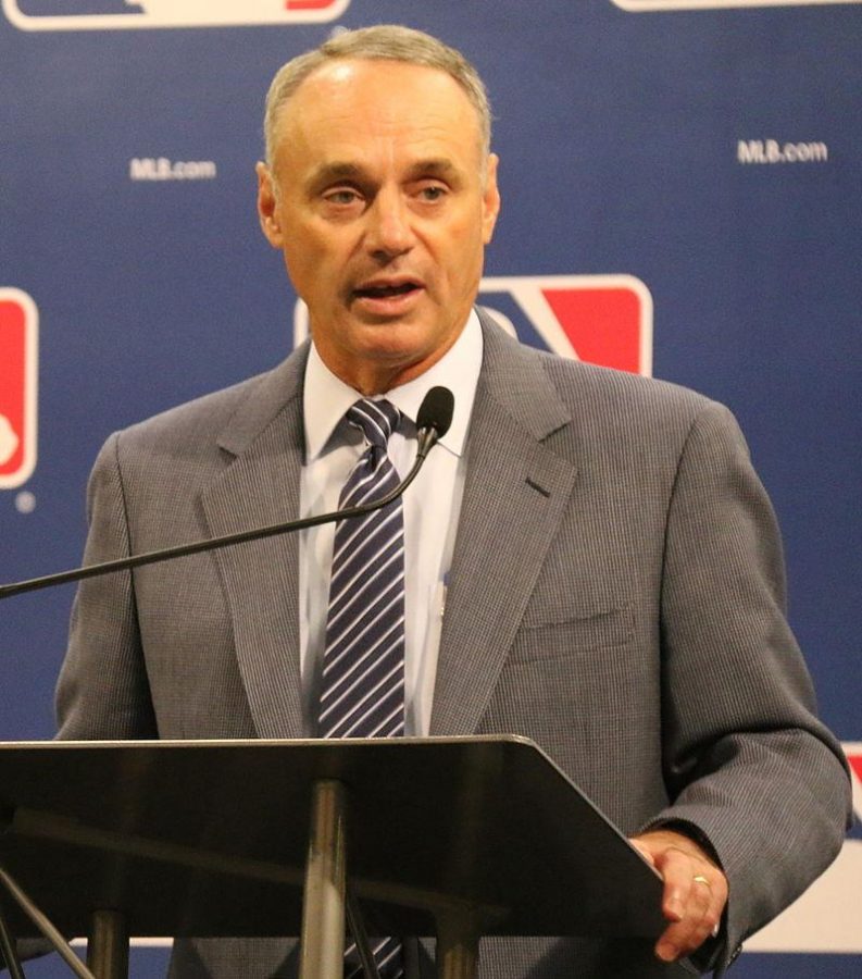 MLB Commissioner Rob Manfred recently recommended that all teams expand their safety netting. Courtesy of Wikimedia. 