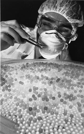 A research technician at Abbott Laboratories in Lake County, Ill., USA, inspects a batch of biochemically treated beads that are used in a test to screen blood for evidence of AIDS virus infections in the early stages. Image undated. (AP Photo)