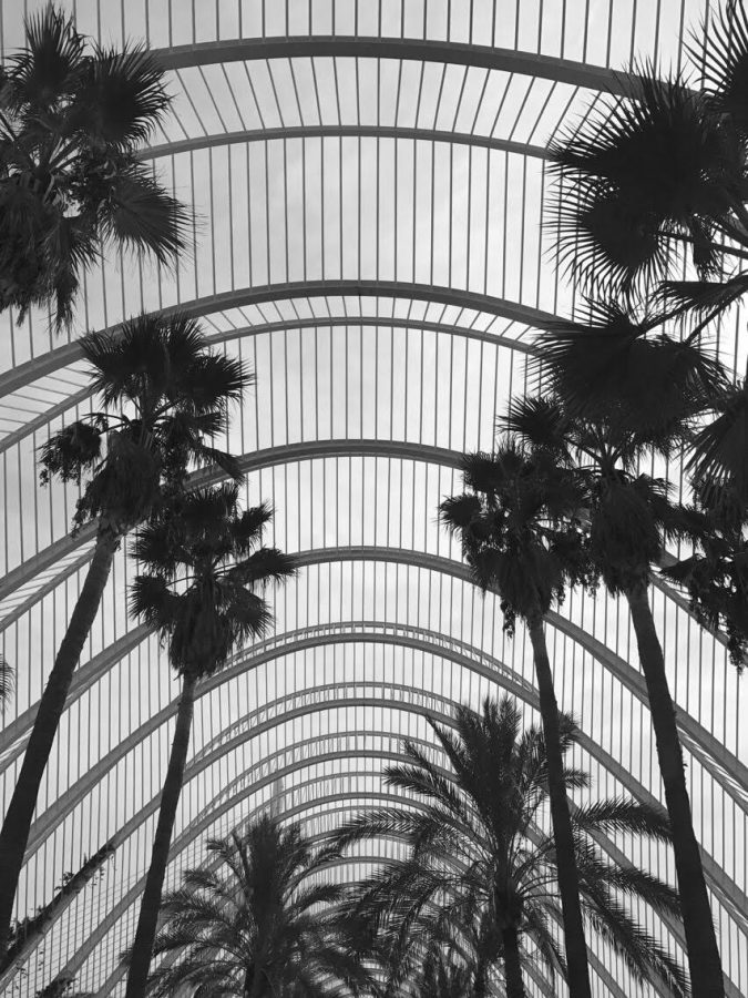The City of Arts and Sciences really is a microcosm of a city (Courtesy of Bailey Hosfelt).