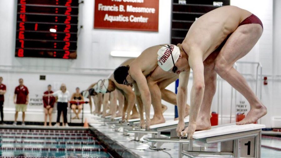 Fordham Swimming and diving started the season with a split against Marist (Julia Comerford/The Fordham Ram).