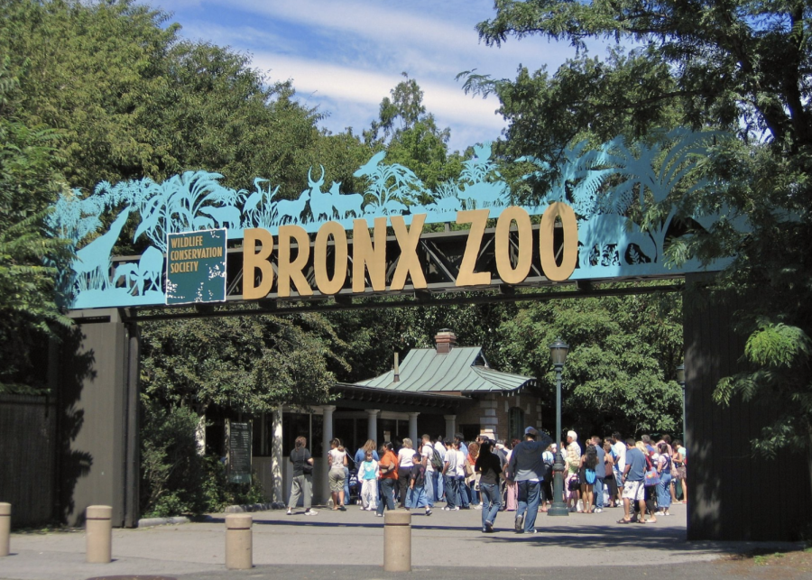 Fordham University students receive free admission to the Bronx Zoo on Wednesdays (Courtesy of Wikimedia).