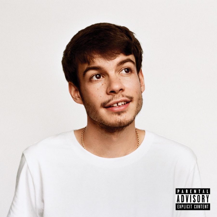 Rex Orange County meets expectations on his new LP. (Courtesy of Flickr)
