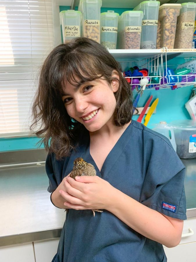 Moles holds a Quail at her summer internship that inspired her to start researching pigeons at the Calder Center