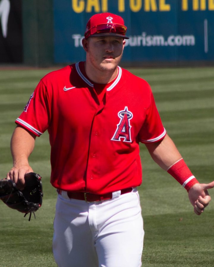 Many athletes, including superstar baseball player Mike Trout, are skeptical about Dr. Faucis plan for sports leagues to resume play again this summer. (Courtesy of Flickr) 
