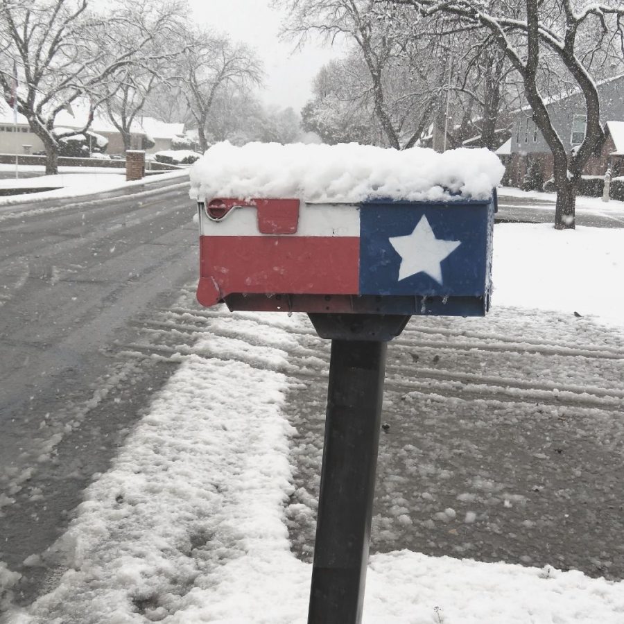 The recent snowstorm in Texas caused suffering for many people. (Courtesy of Twitter)