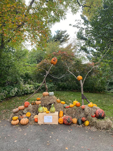 Decorated with a hundred silly pumpkin scarecrows along the winding trails, the New York Botanical Garden is a cheerful wonderland during autumn. (courtesy of Jacqueline Delia for the Fordham Ram)