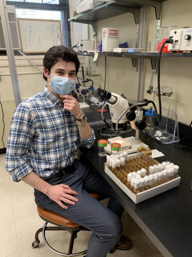 Bartz working in a lab run by Dr. Dubrovsky of Fordham’s biological sciences department. (Courtesy of Jacob Bartz for The Fordham Ram)