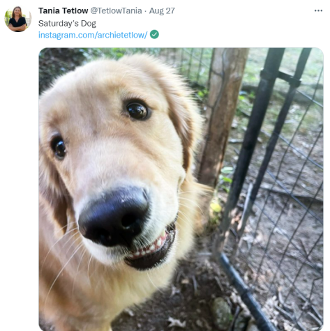 Tetlow Makes a Splash on Twitter