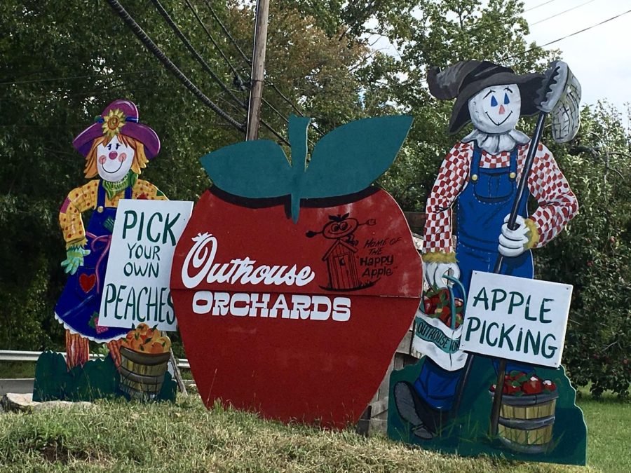  Outhouse Orchards offers a wide variety of fall activites including apple picking, a pumpkin patch and hay rides. (Courtesy of Facebook) 
