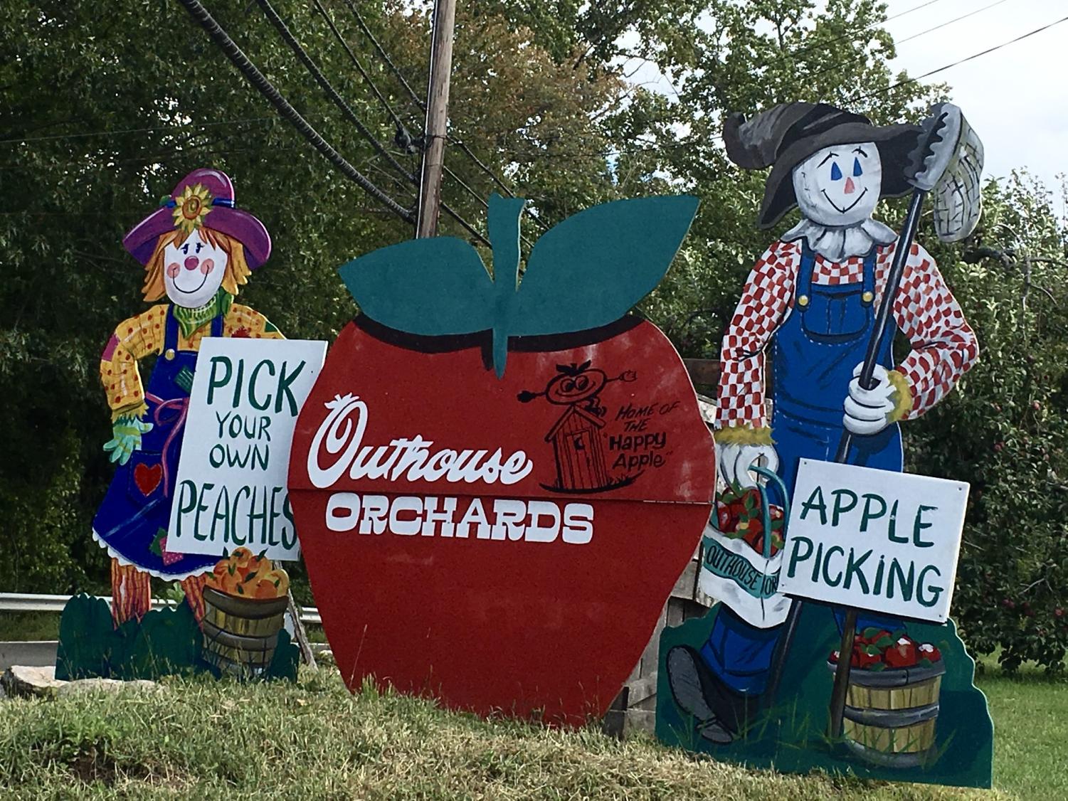 celebrating-fall-with-apple-picking-outside-of-the-big-apple-the