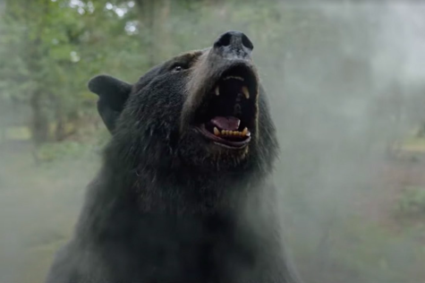 A historical event turned ridiculous slasher, “Cocaine Bear” reminds audiences of how bear-y fun film can be. (Courtesy of Twitter)