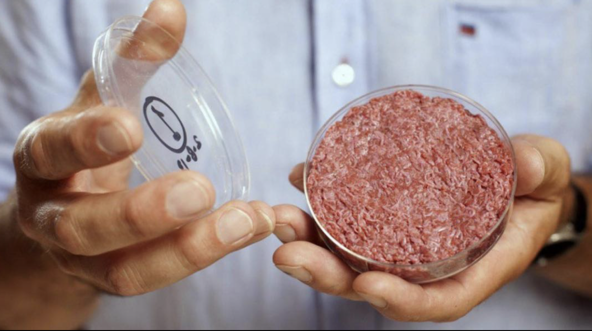 Lab-grown meat offers a new, environmentally-sustainable alternative to traditional meat products. (Courtesy of Instagram)