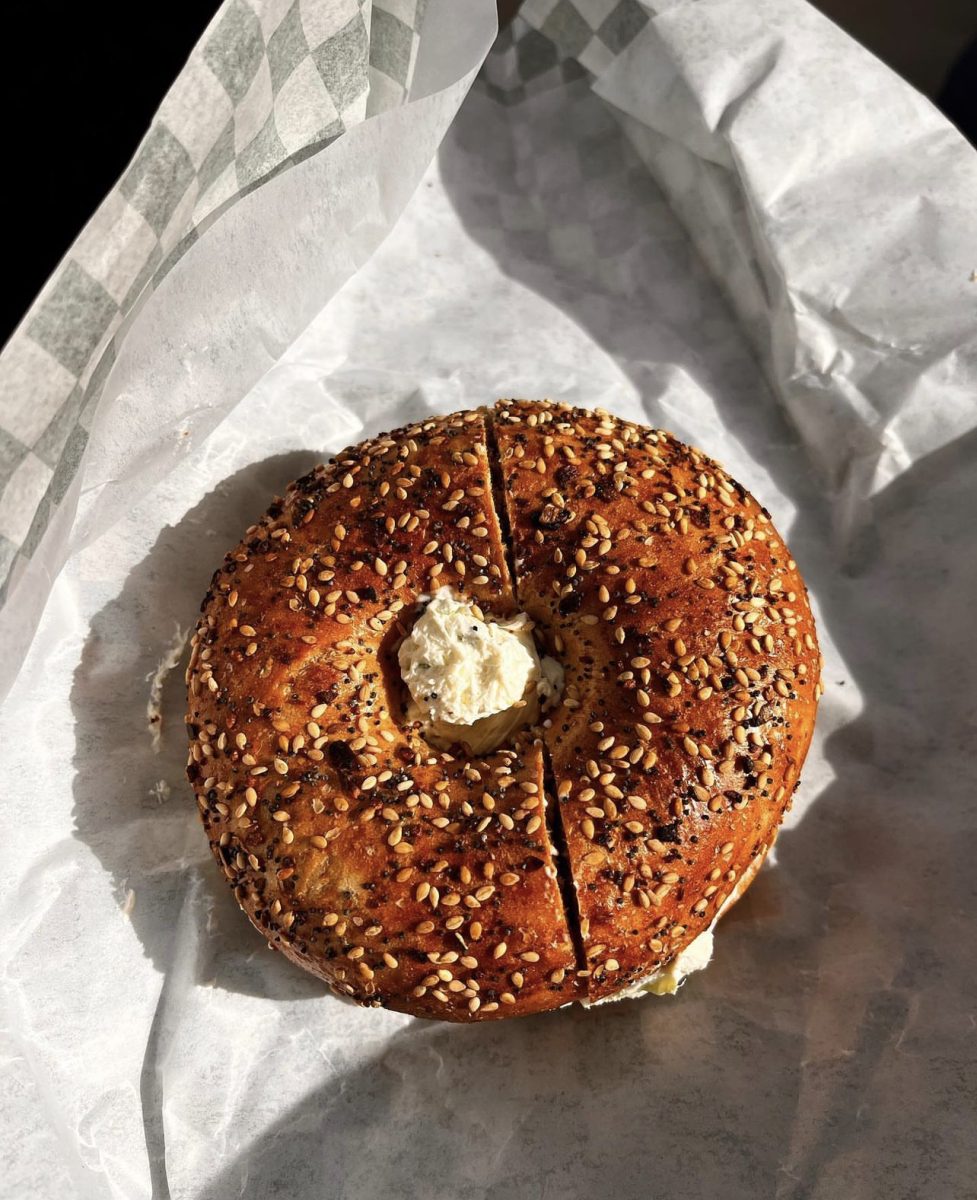 Frumento dives into why she believes New Jersey bagels are superior to New Yorks. (Courtesy of Claire Krieger for The Fordham Ram)