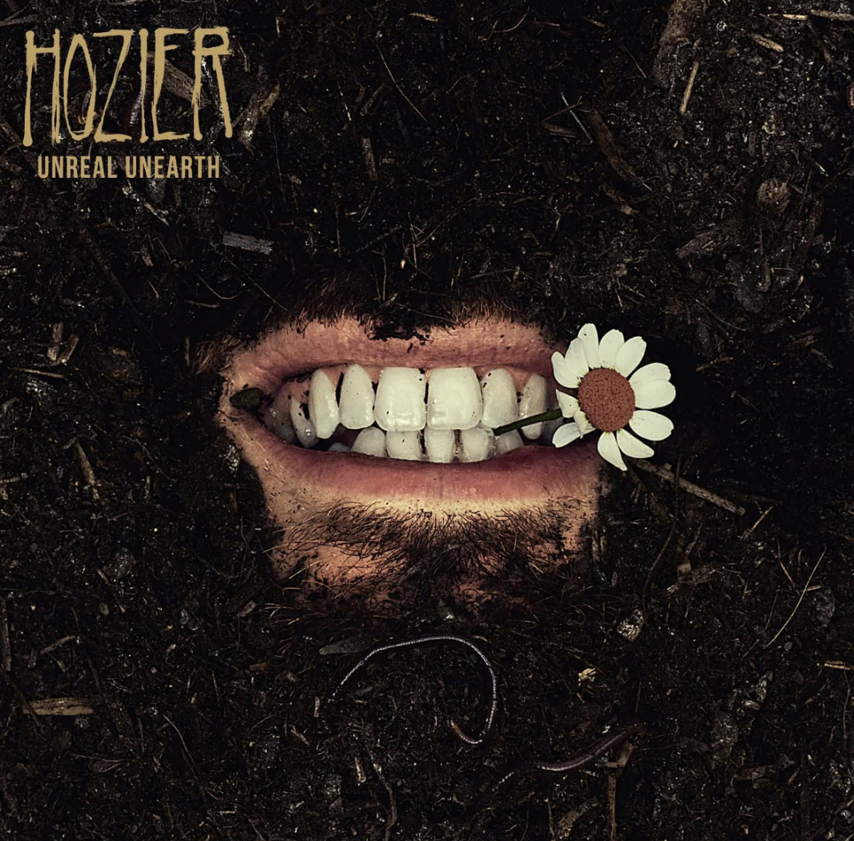 Hozier lives up to his reputation with new song. (Courtesy of Instagram)