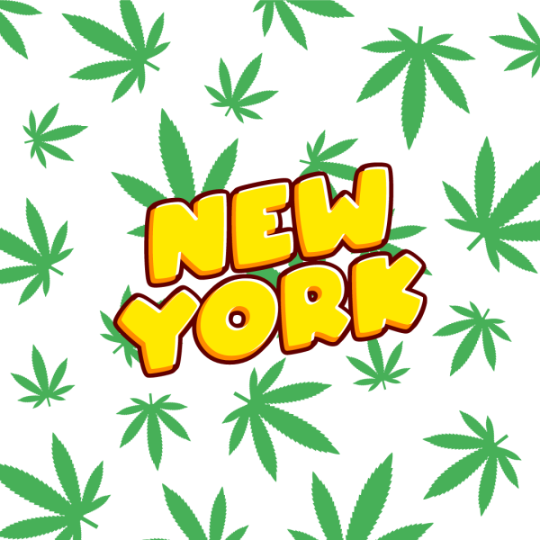 New Yorks legalized marijuana rollout has been a disaster for stoners, dispensary owners and anti-drug advocates. (Courtesy of Grace Campbell for The Fordham Ram) 