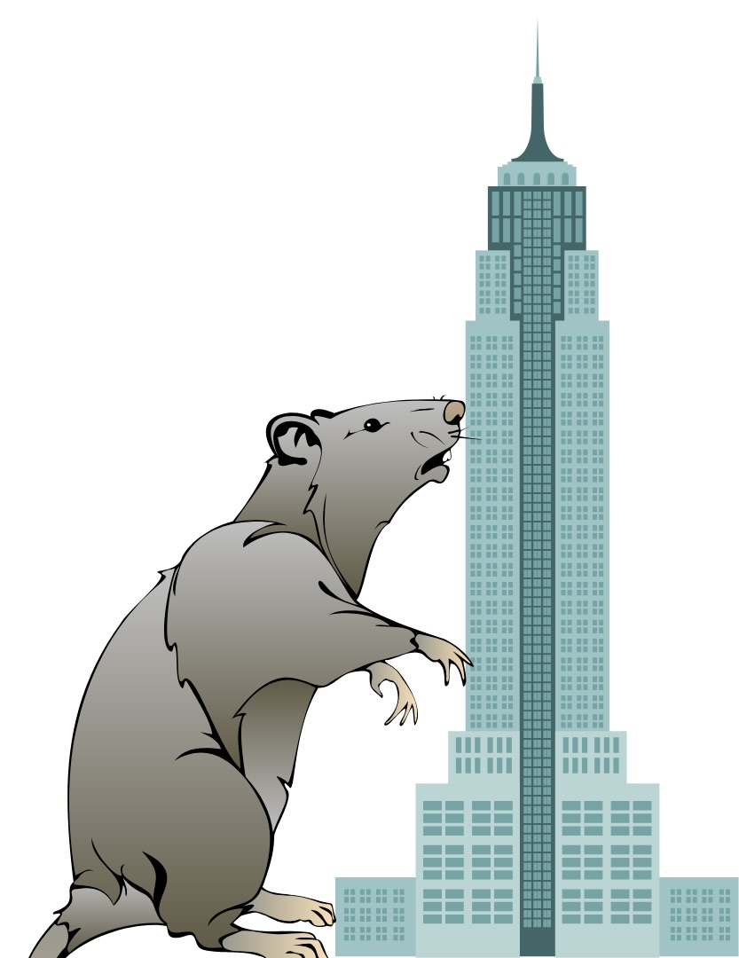 Rats are a perennial problem in NYC and ContraPest could be the solution. (Courtesy of Grace Campbell for The Fordham Ram)