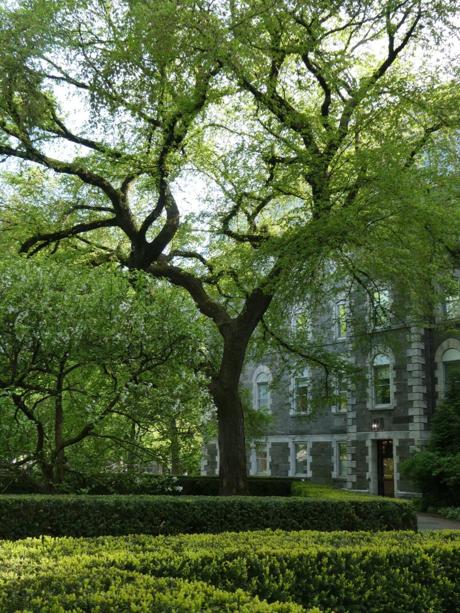 Fordham's campus is waiting for you to explore it. (Courtesy of Dalia Fouquart for The Fordham Ram)