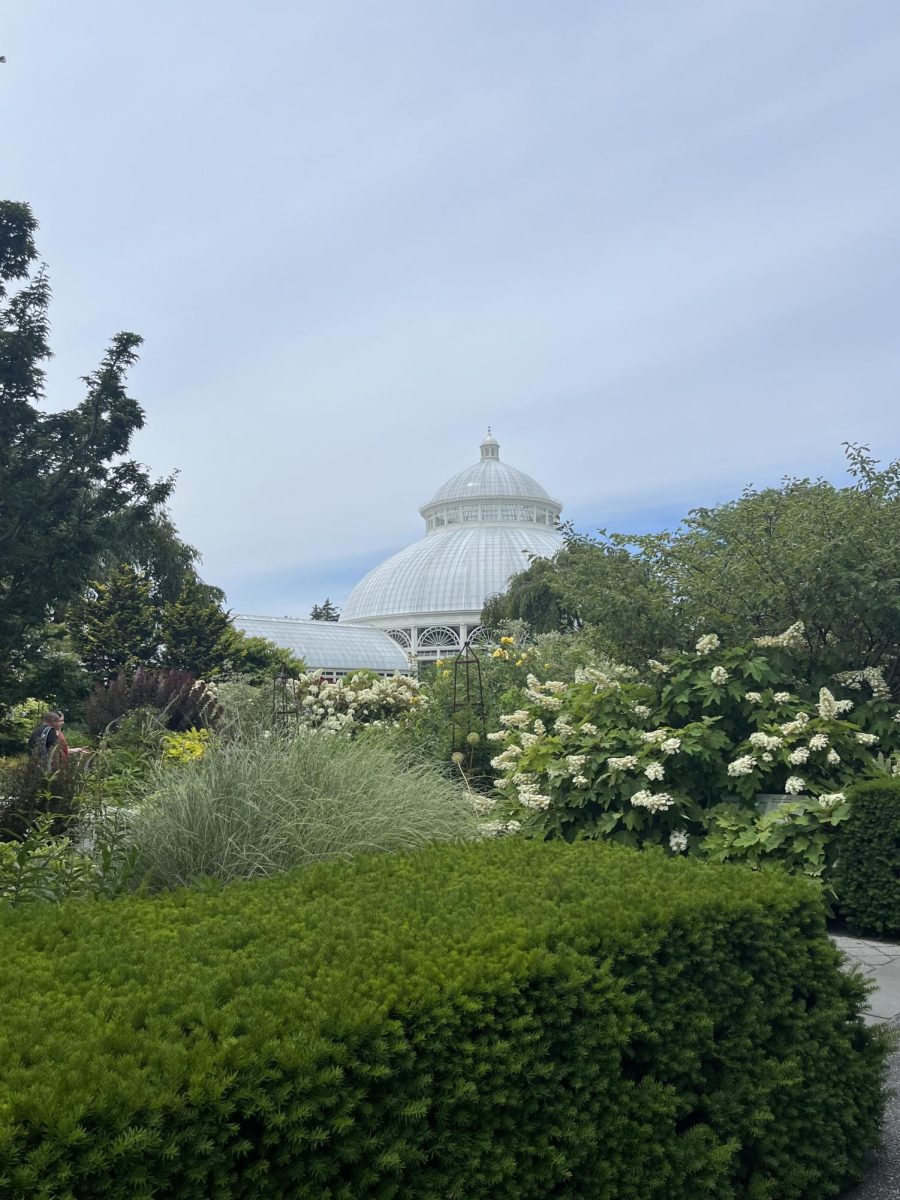 The farmer's market at the NYBG offers fresh produce and more. (Courtesy of Grace Campbell/The Fordham Ram)