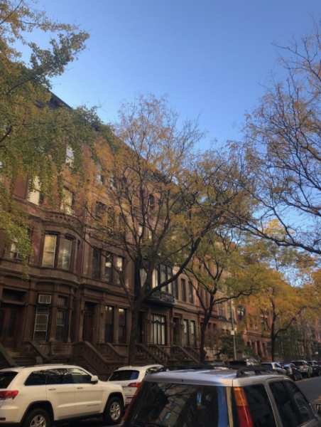 The Upper West Side brownstones are some of my favorite buildings in the city. (Courtesy of Caleb Stine for The Fordham Ram)