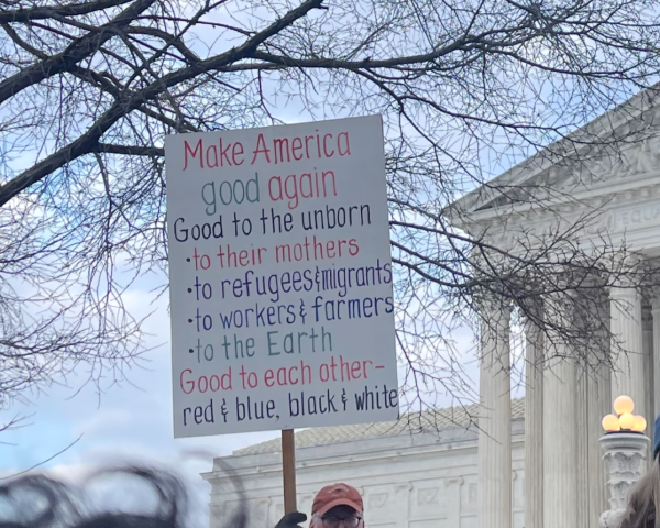 The March for Life is an annual event that began in 1973 to commemorate the passing of Roe v. Wade, which legalized abortion in the United States. (Elizabeth Rengifo-Vega/The Fordham Ram)