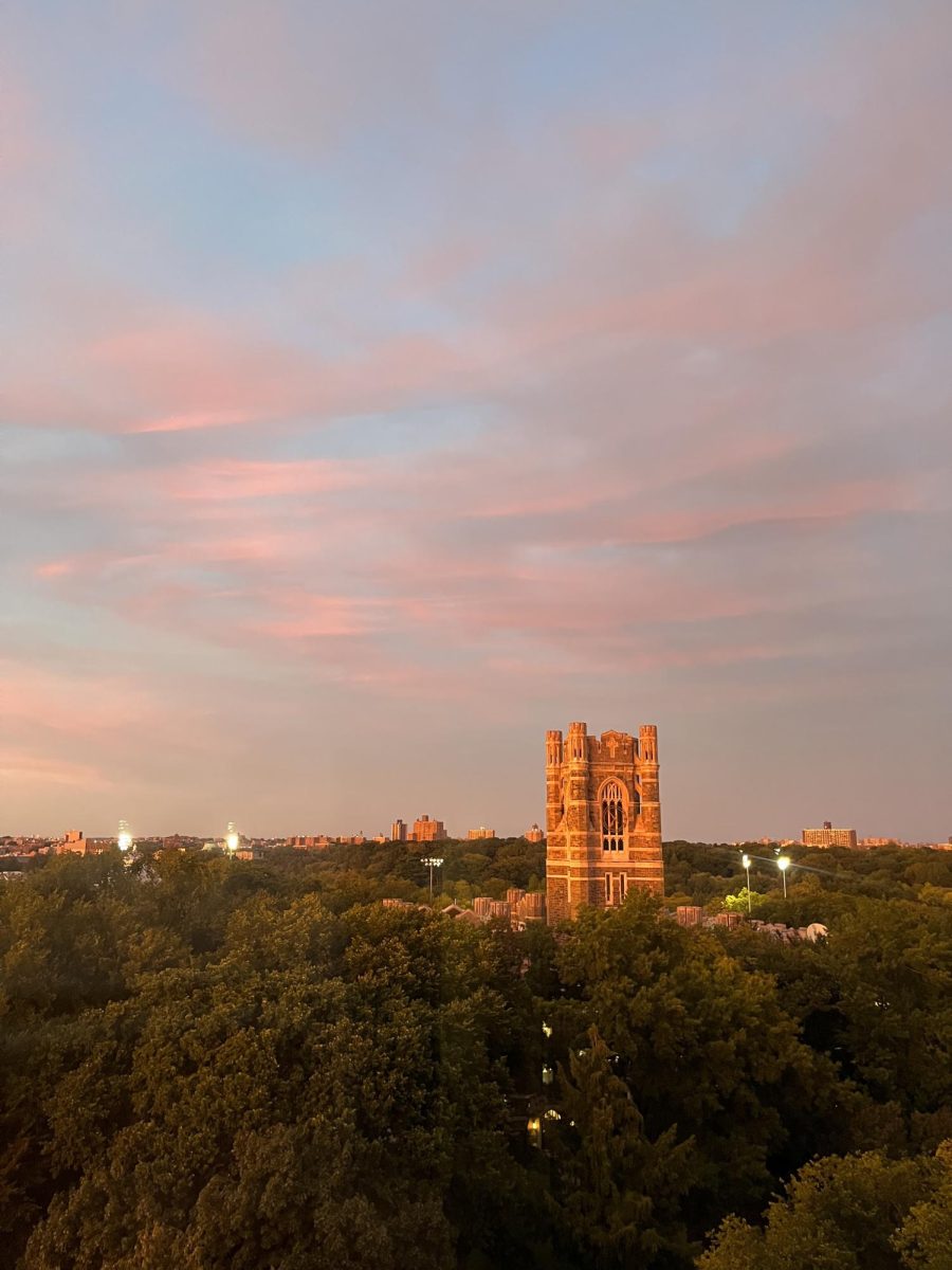 The Fordham Ram staff invite the Class of 2025 to read, remember and reflect on some of the top headlines from their time at Fordham. (Courtesy of Lusa Holmstrom for The Fordham Ram)