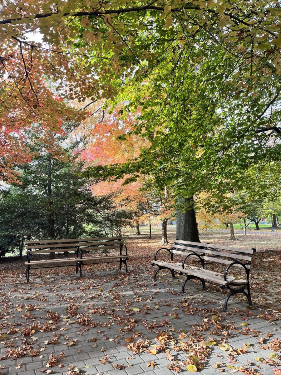 The best gifts come in small packages, and the best moments are sometimes the smallest or the most mundane, like sitting on a bench.