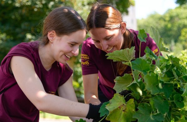 Two students gardening durring their time as Urban Plunge Assistants. (Courtesy of @fordhamccel) 