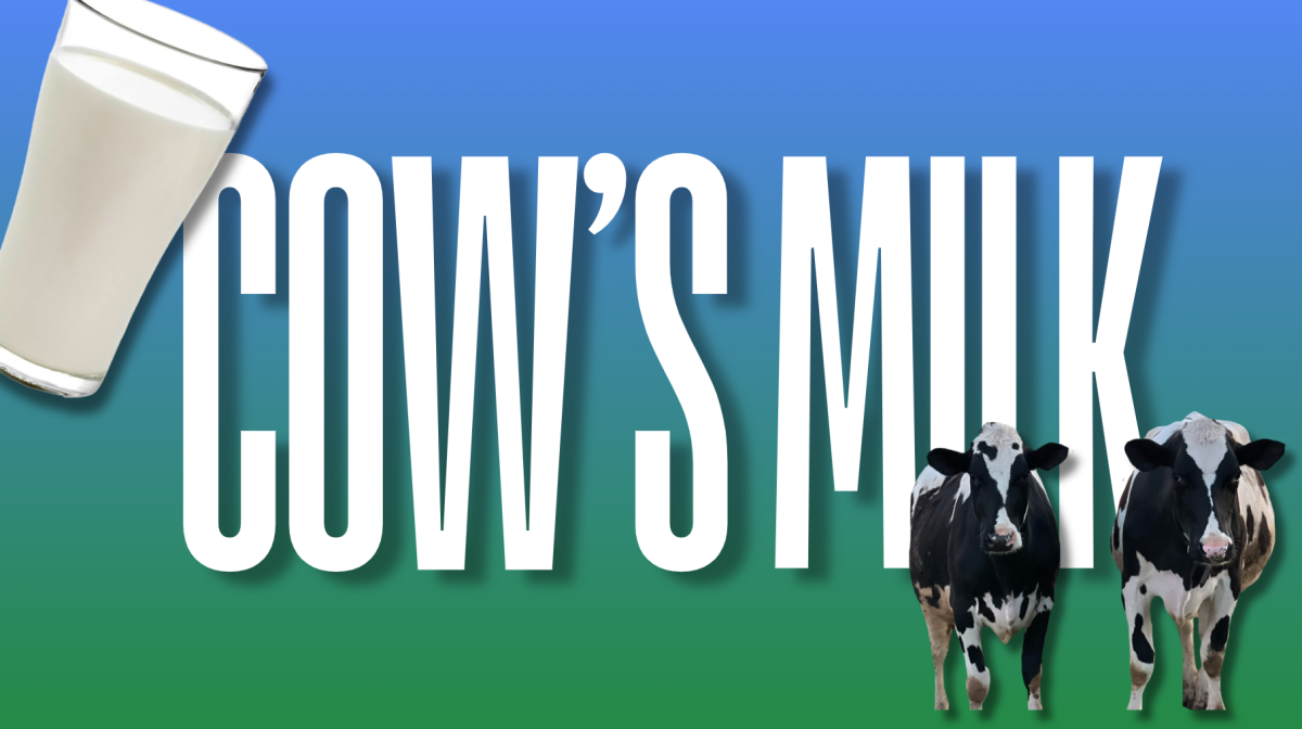 The presence of plant-based milk is challenging the tradition of drinking cow’s milk. Meghan Cattani/The Fordham Ram.