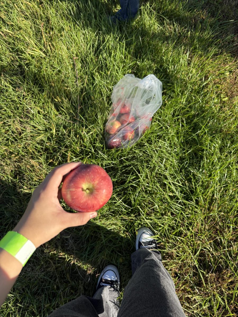 Get into the fall spirit by getting lost in an apple orchard this season (Courtesy of Anna Gayton for The Fordham Ram).