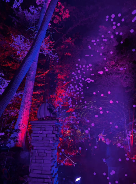Say hello to Jack Skellington at NYBG’s "Nightmare Before Christmas" Light Trail (Courtesy of Jordan Donegan/The Fordham Ram).

