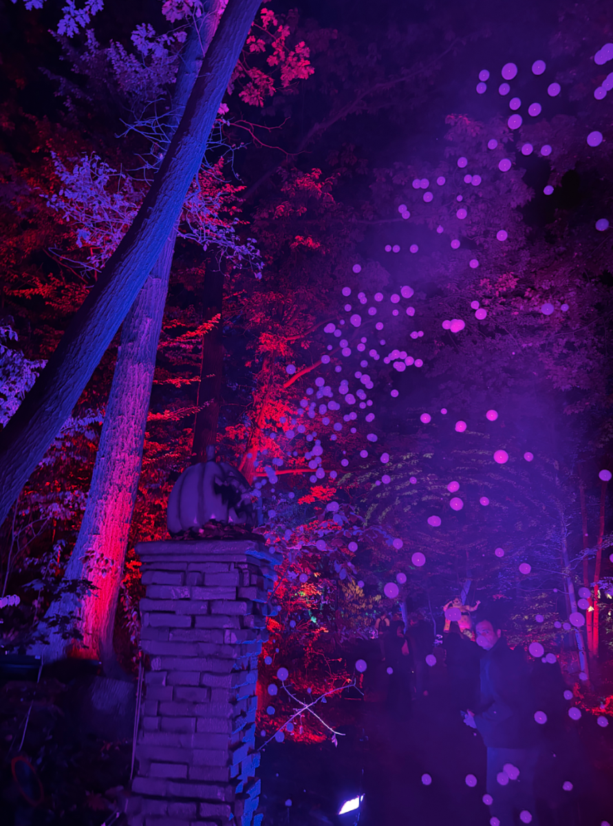 Say hello to Jack Skellington at NYBG’s "Nightmare Before Christmas" Light Trail (Courtesy of Jordan Donegan/The Fordham Ram).
