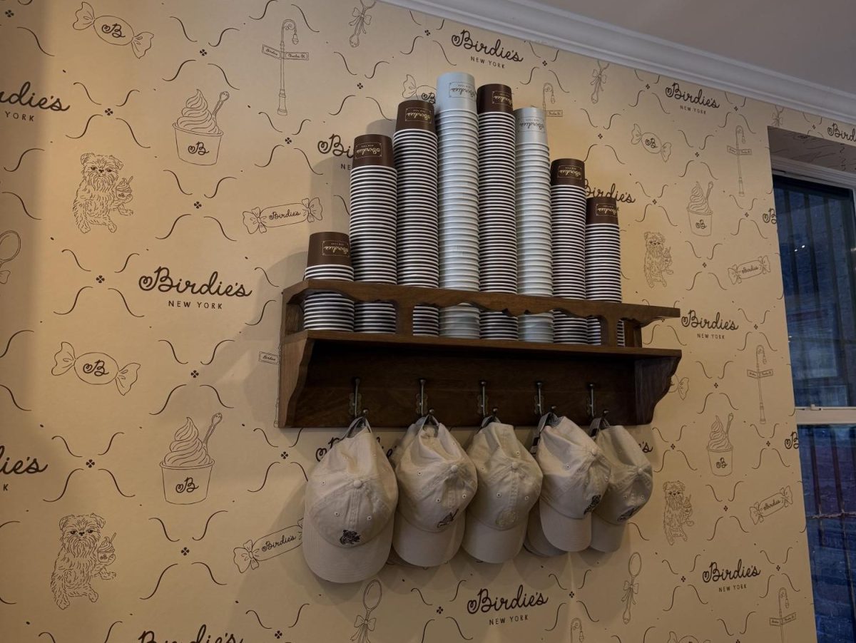 Wall of merch and yogurt cups at Birdie's Frozen Yogurt.
