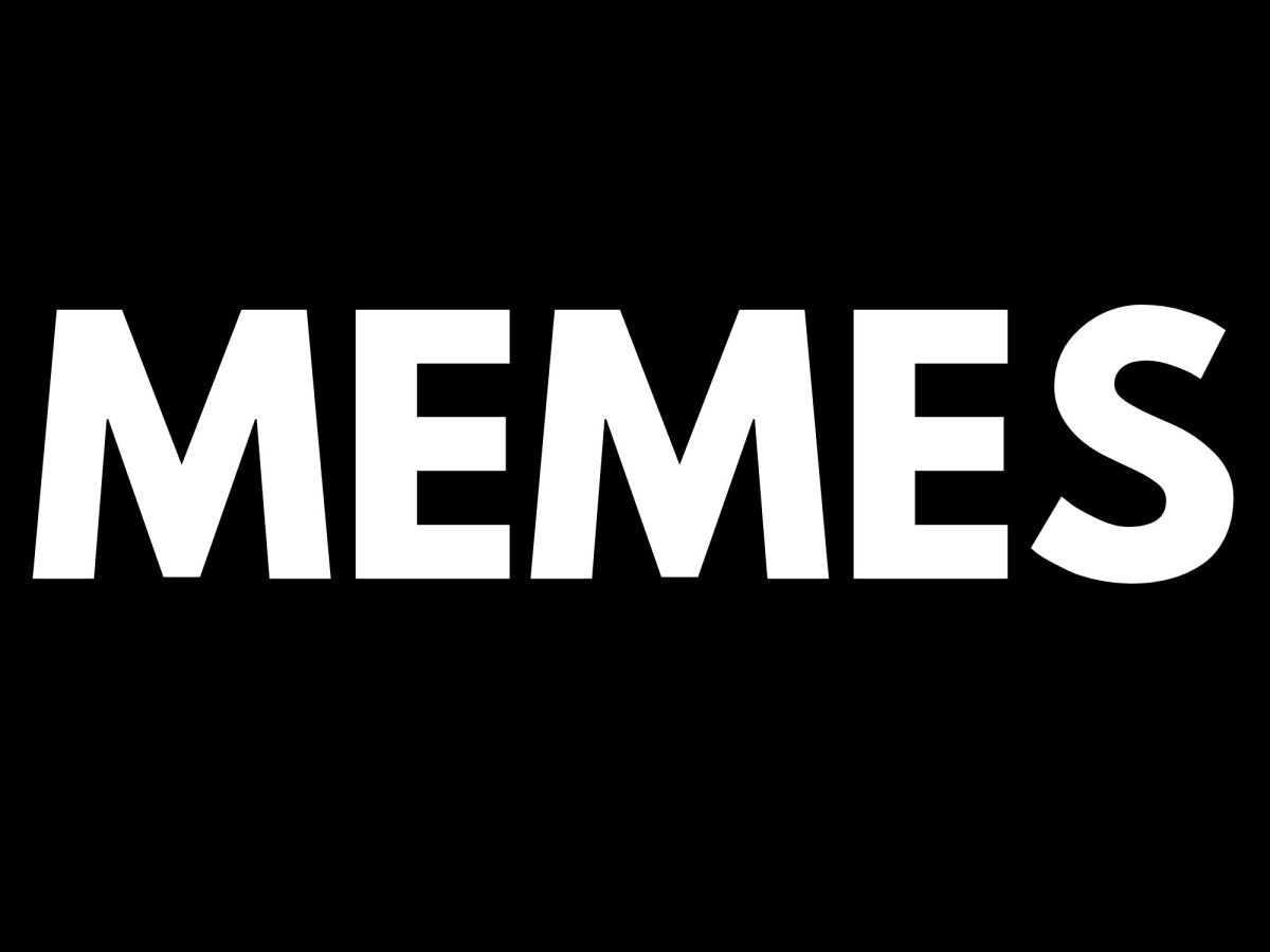 Memes have become racially-motivated and can spread harmful rhetoric.